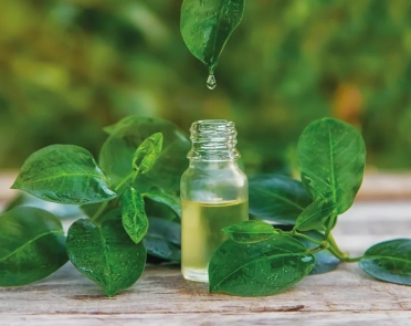 خواص روغن درخت چای برای پوست